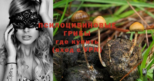 кокаин премиум Алексеевка