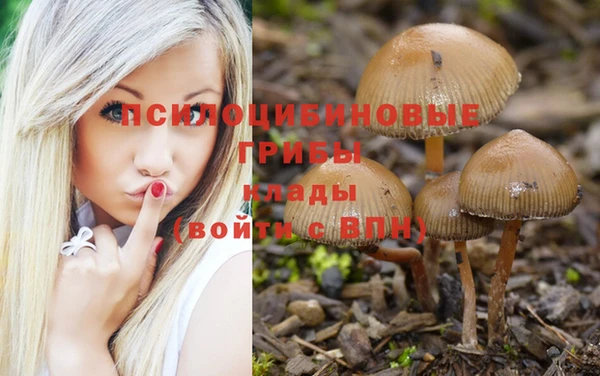 бошки Алзамай