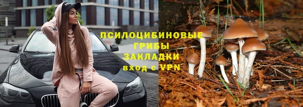 кокаин премиум Алексеевка