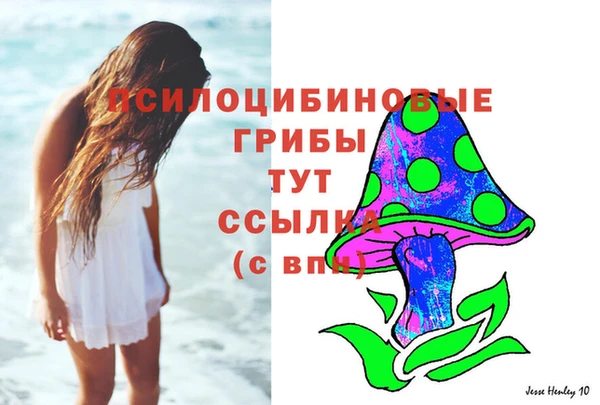 бошки Алзамай