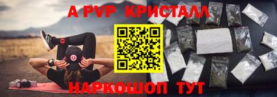 тгк Канаш