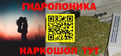 mdma Камышлов