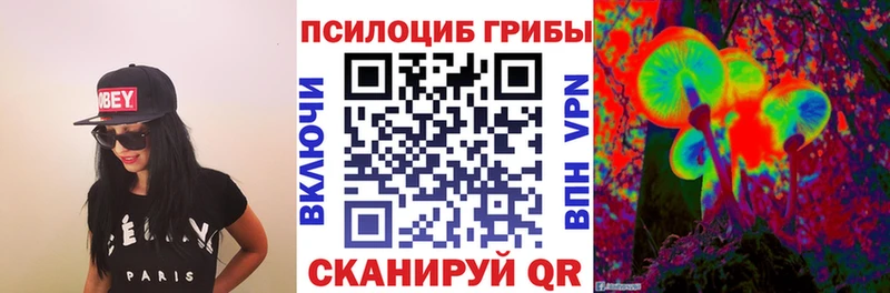 mega ТОР  сколько стоит  Нижний Тагил  Галлюциногенные грибы Psilocybe 
