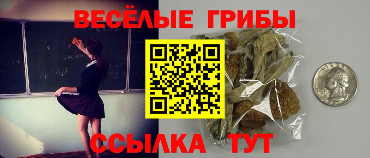 Галлюциногенные грибы мухоморы Нижний Тагил
