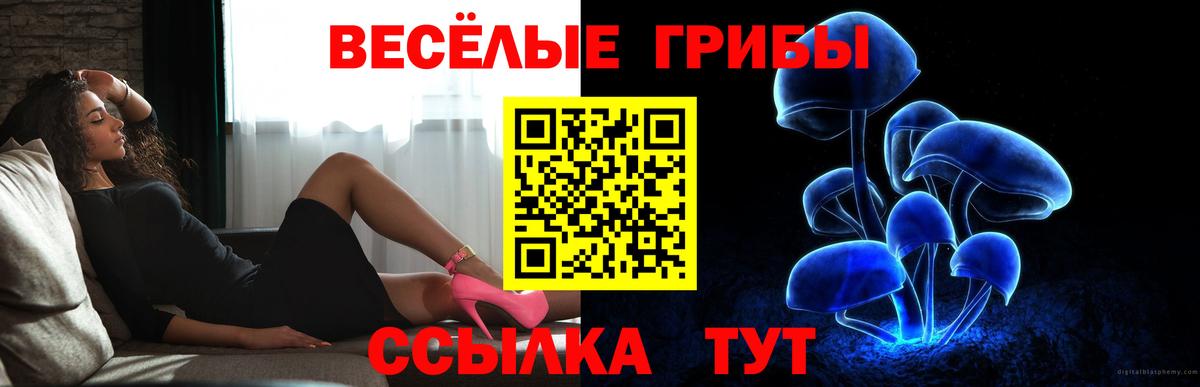 Галлюциногенные грибы Cubensis  Галлюциногенные грибы Psilocybine cubensis  Вход с VPN  Нижний Тагил 